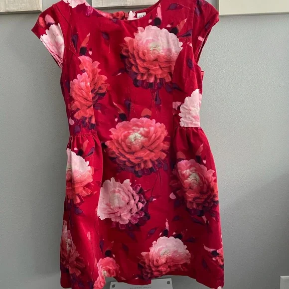 GAP | Dresses | Gap Girls Plus Size Holiday Dress With Pockets 2 | Poshmark